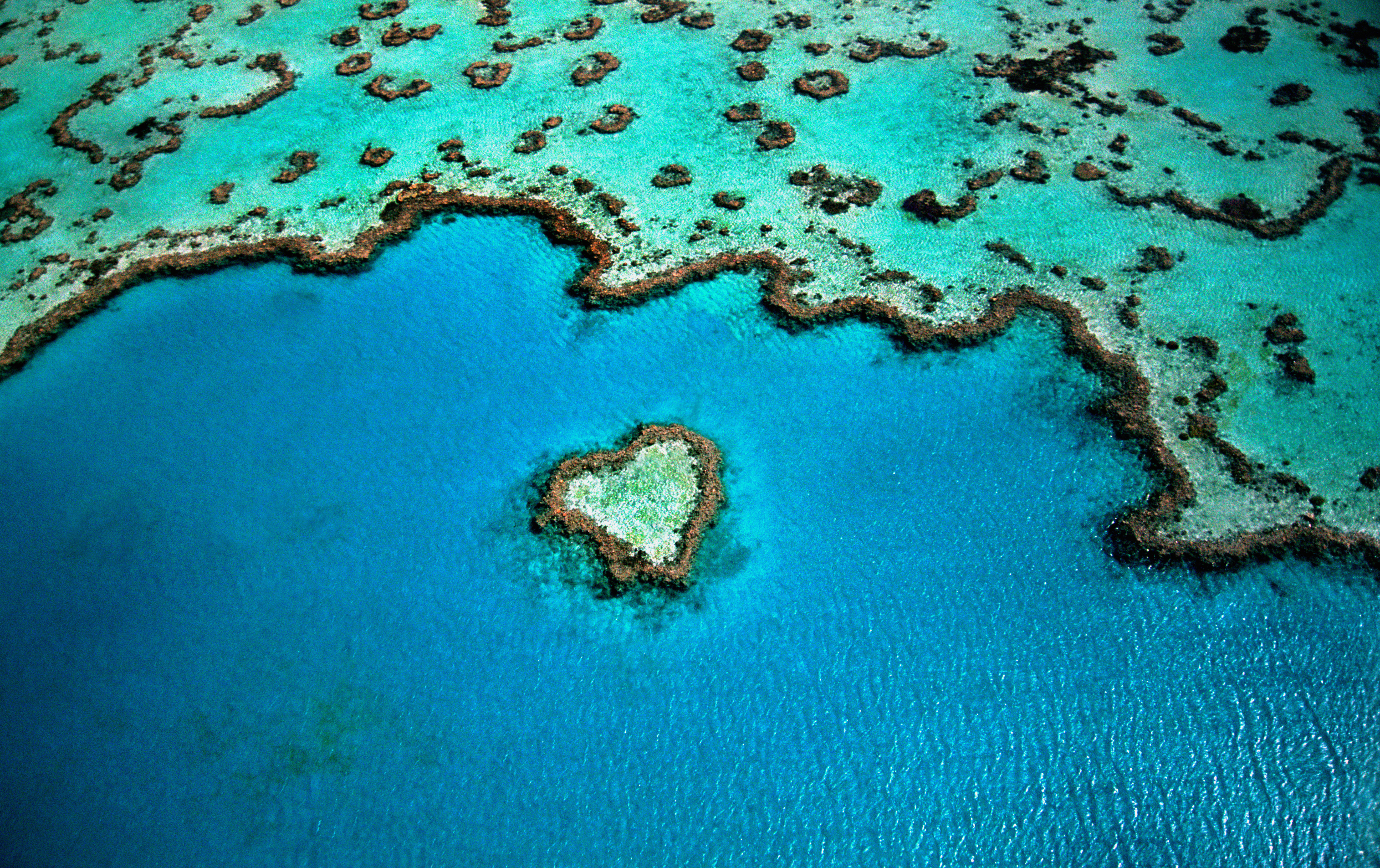 Australia, Great Barrier Reef, heart shaped reef, aerial view